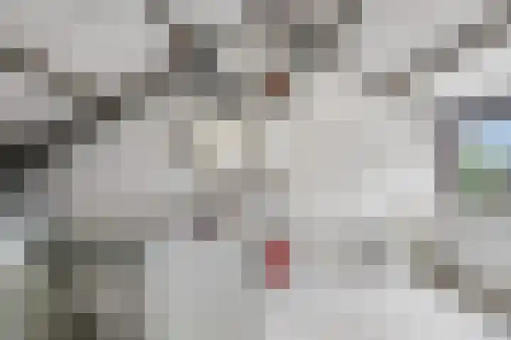 Dissel 31 Huissen thumbnail 22