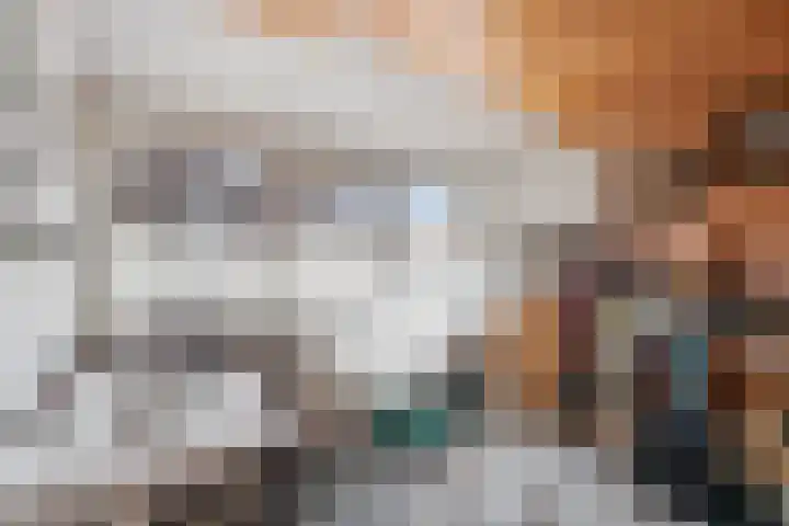 Dissel 31 Huissen thumbnail 23