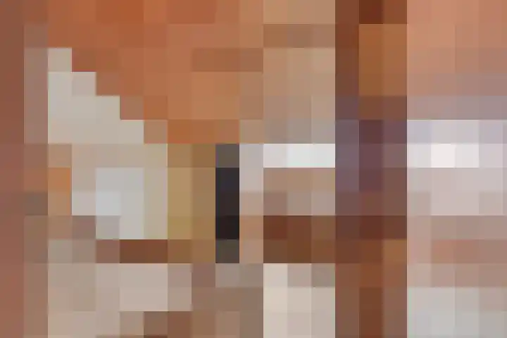 Dissel 31 Huissen thumbnail 24