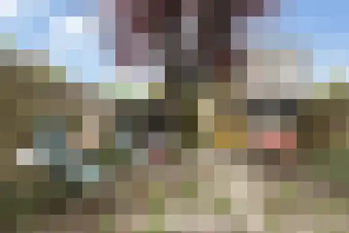 Dissel 31 Huissen thumbnail 26