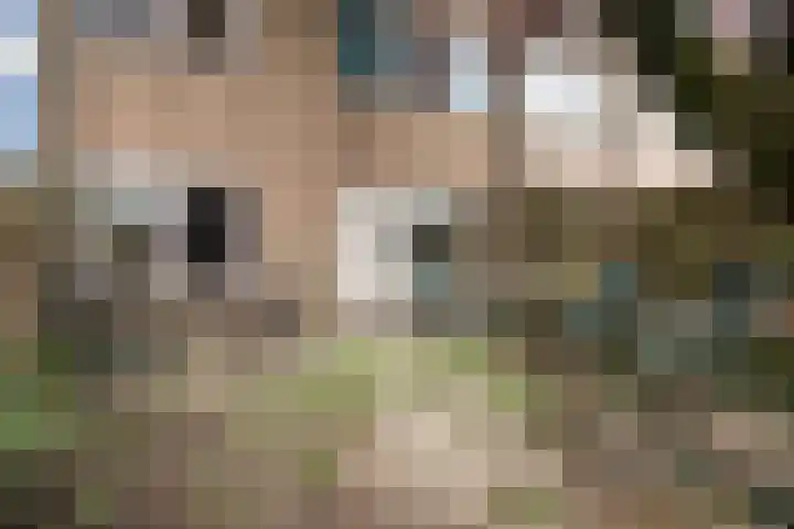 Dissel 31 Huissen thumbnail 27