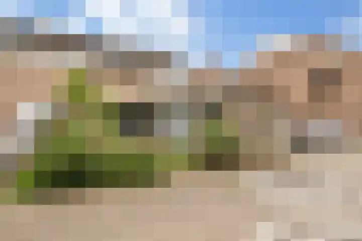 Dissel 31 Huissen thumbnail 28