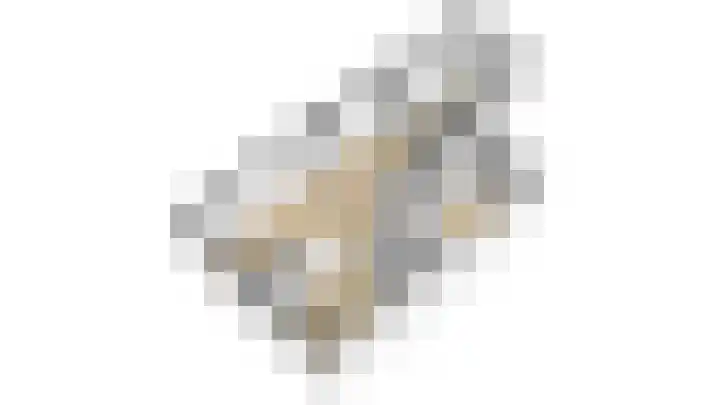 Dissel 31 Huissen thumbnail 31