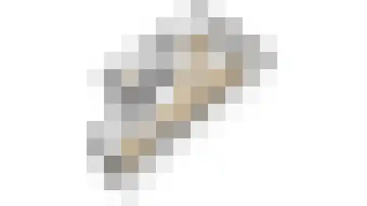 Dissel 31 Huissen thumbnail 32