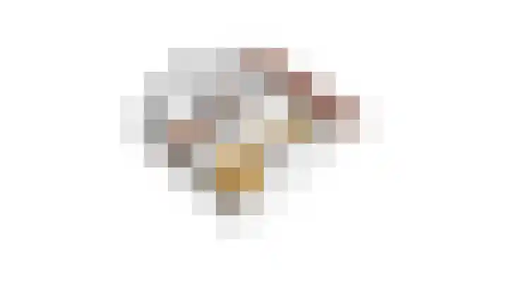 Dissel 31 Huissen thumbnail 37