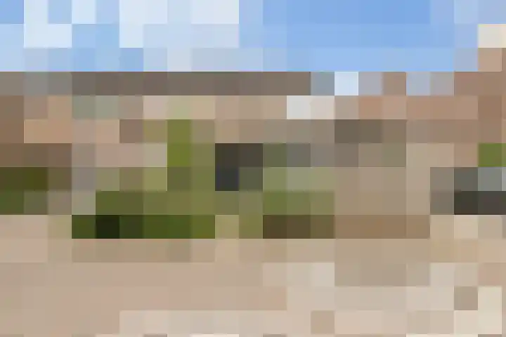 Dissel 31 Huissen thumbnail 39