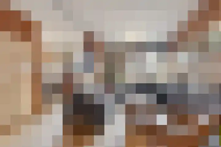 Dissel 31 Huissen thumbnail 4