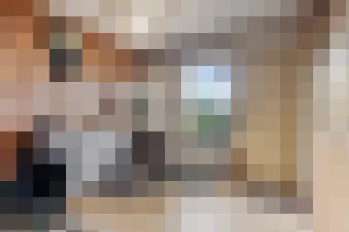 Dissel 31 Huissen thumbnail 6
