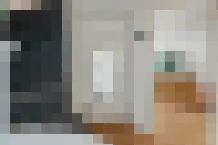 Dissel 34 Hasselt thumbnail 10