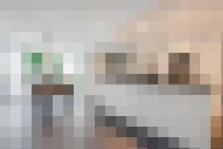 Dissel 34 Hasselt thumbnail 16