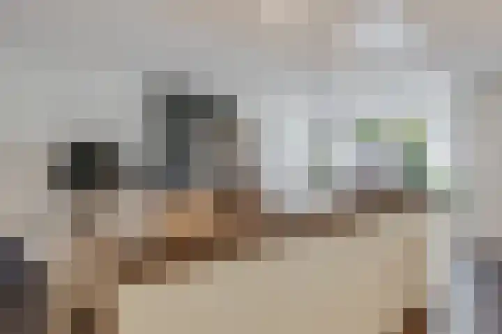 Dissel 34 Hasselt thumbnail 22