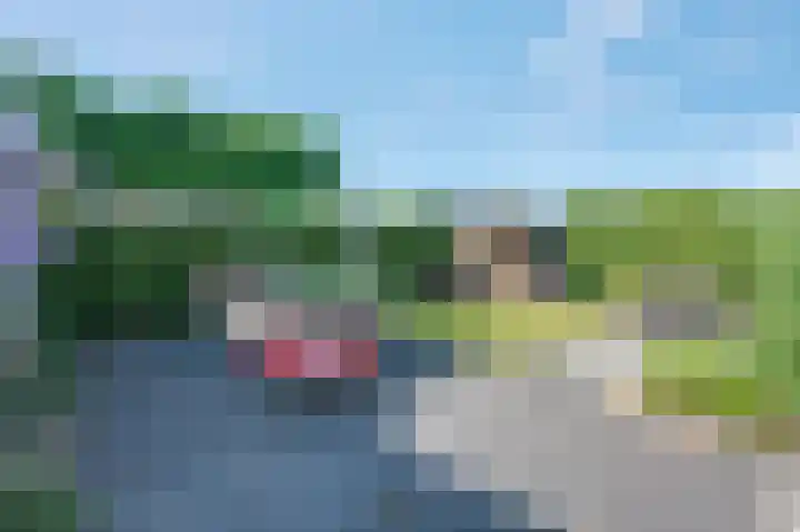 Dissel 34 Hasselt thumbnail 25