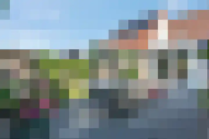 Dissel 34 Hasselt thumbnail 26