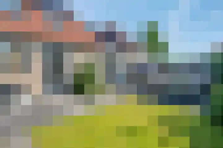 Dissel 34 Hasselt thumbnail 27