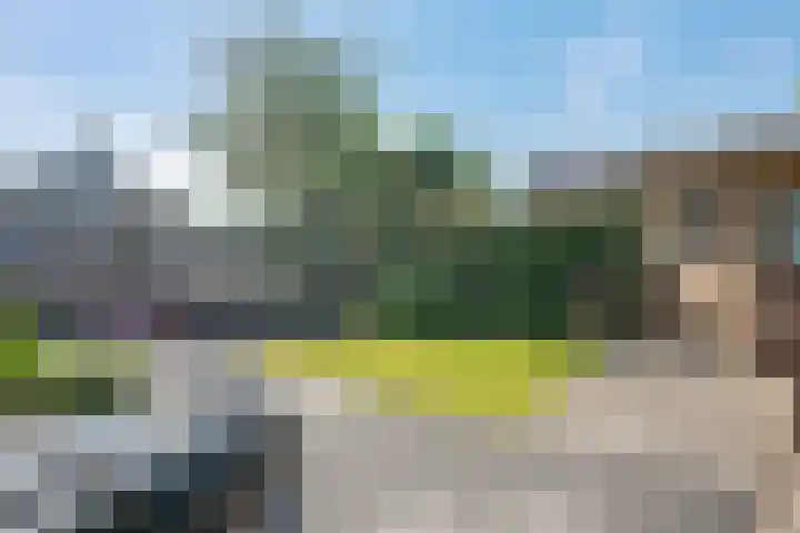 Dissel 34 Hasselt thumbnail 28