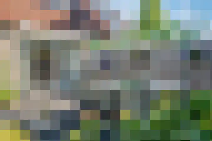 Dissel 34 Hasselt thumbnail 29