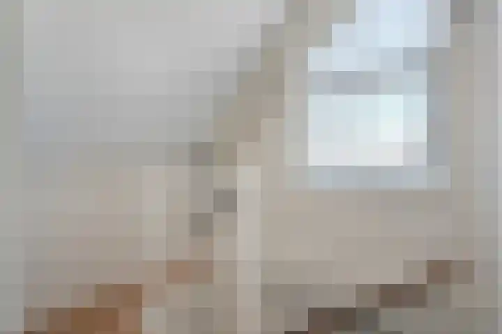 Dissel 34 Hasselt thumbnail 32