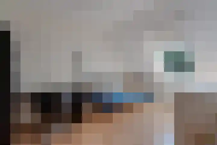 Dissel 34 Hasselt thumbnail 33