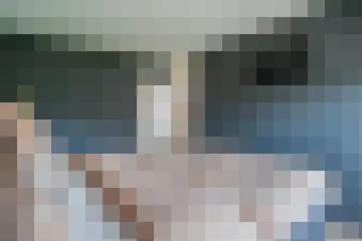 Dissel 34 Hasselt thumbnail 38