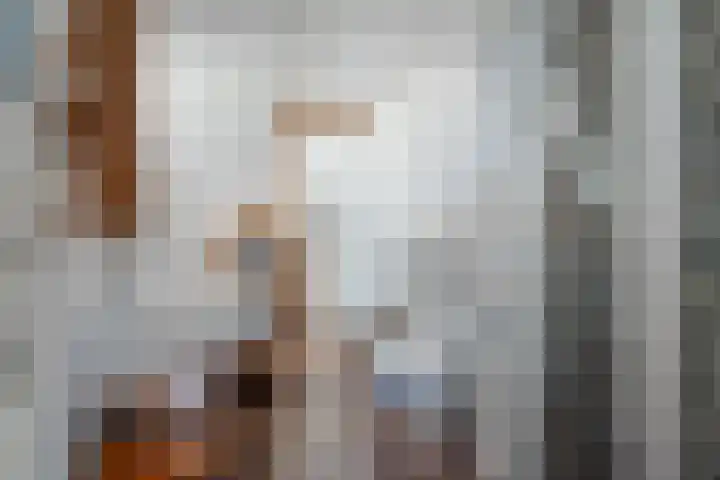 Dissel 34 Hasselt thumbnail 39
