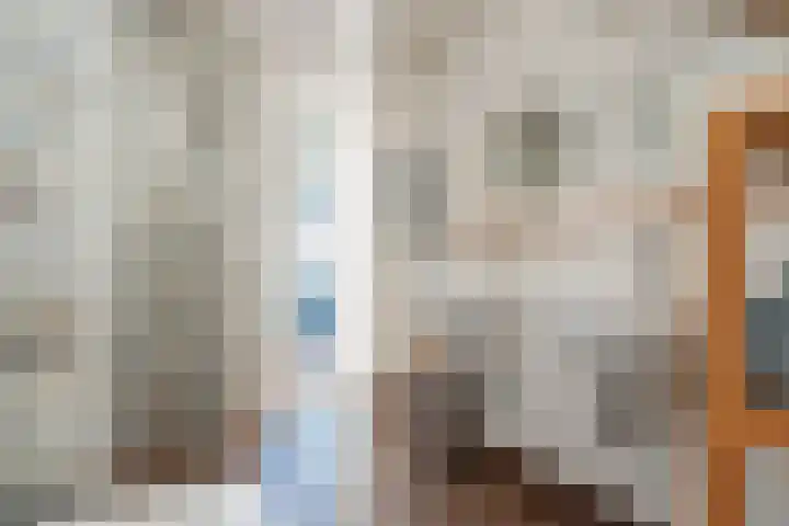 Dissel 34 Hasselt thumbnail 41
