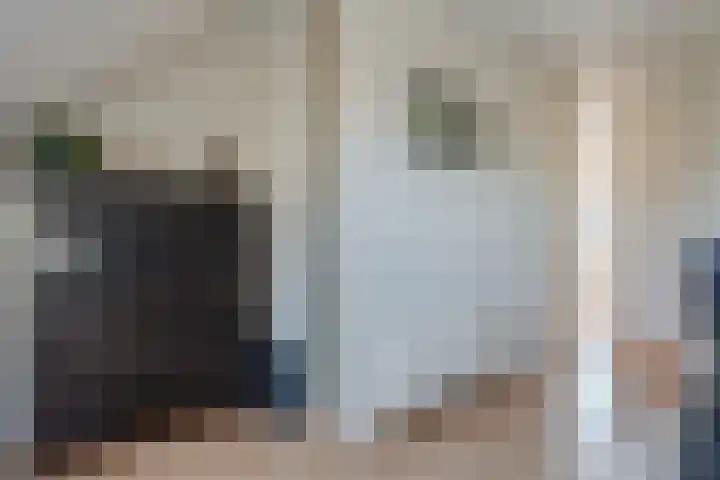 Dissel 34 Hasselt thumbnail 48