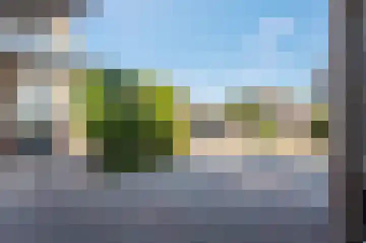 Dissel 34 Hasselt thumbnail 5
