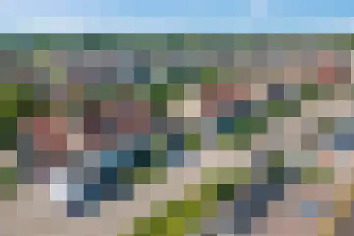 Dissel 34 Hasselt thumbnail 53