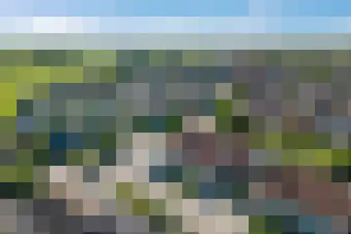 Dissel 34 Hasselt thumbnail 54