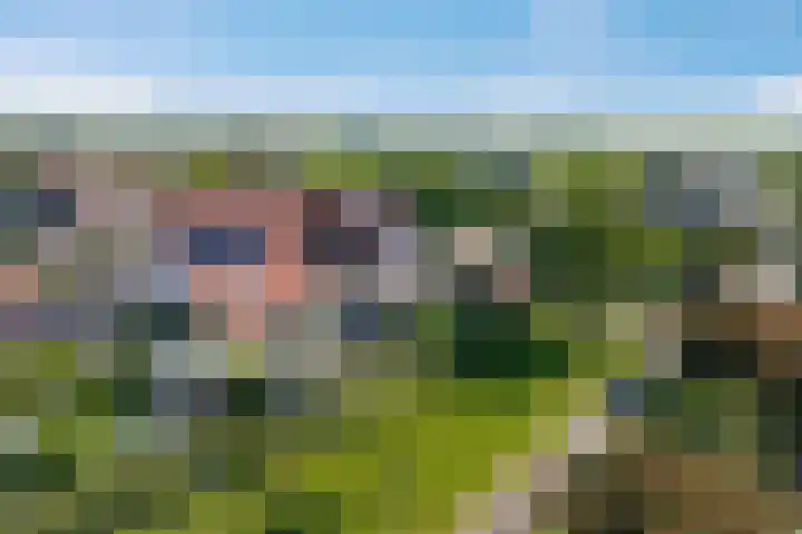 Dissel 34 Hasselt thumbnail 55