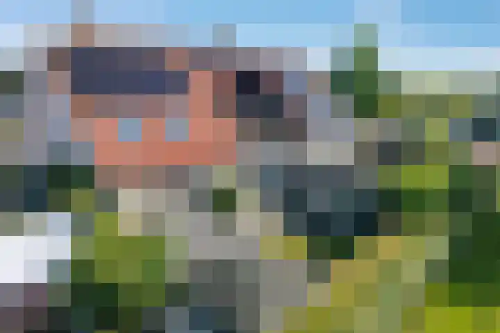 Dissel 34 Hasselt thumbnail 56