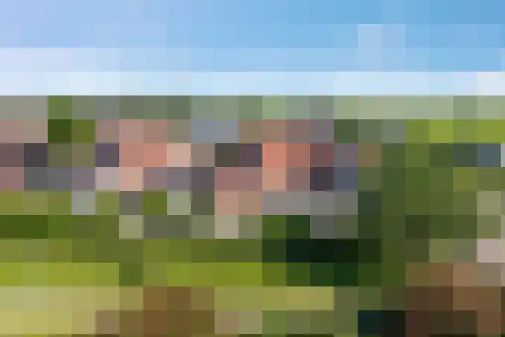 Dissel 34 Hasselt thumbnail 57