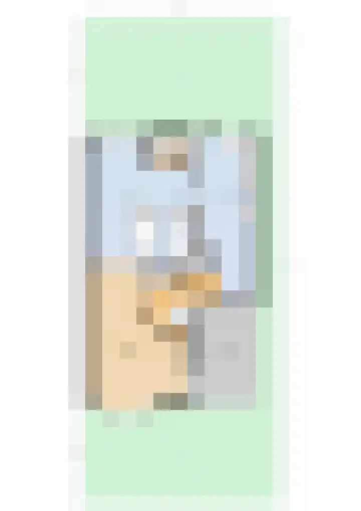 Dissel 34 Hasselt thumbnail 58