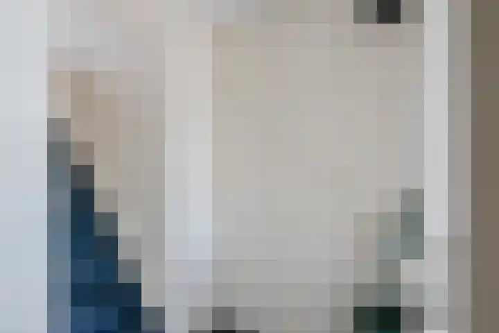 Dissel 34 Hasselt thumbnail 7