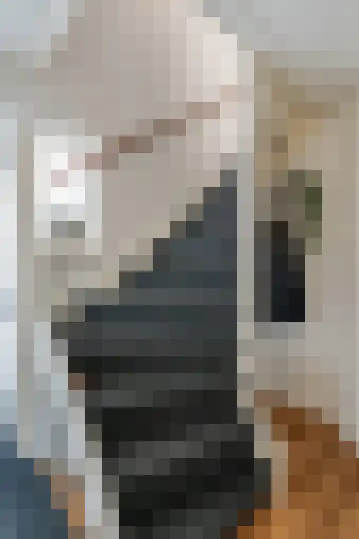 Dissel 34 Hasselt thumbnail 8