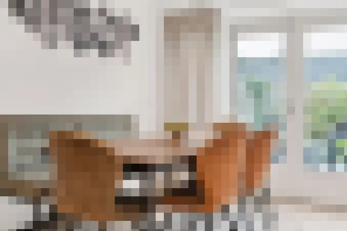 Dissel 34 Maarheeze thumbnail 17
