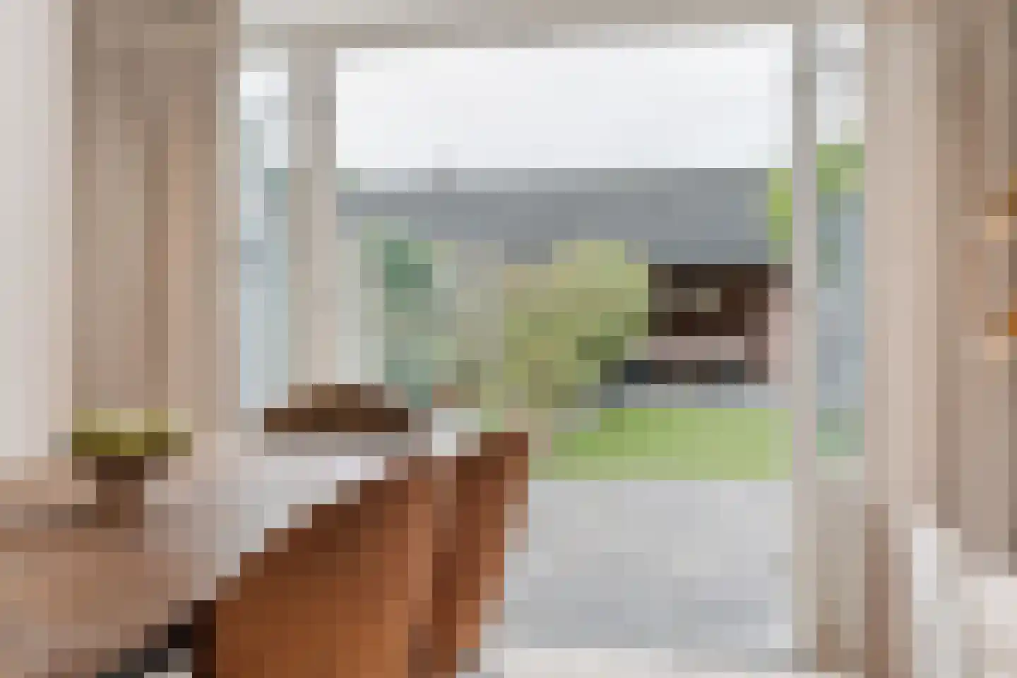 Dissel 34 Maarheeze thumbnail 18