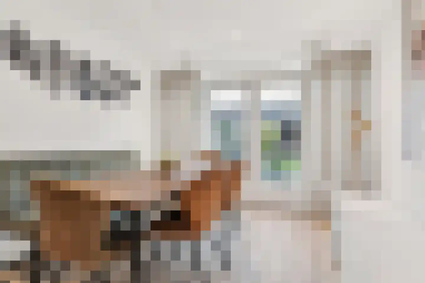 Dissel 34 Maarheeze thumbnail 20