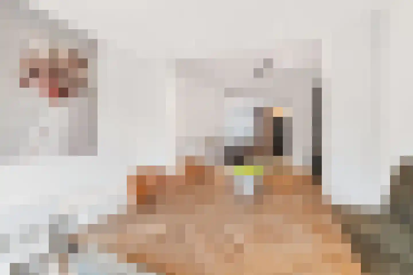 Dissel 34 Maarheeze thumbnail 21