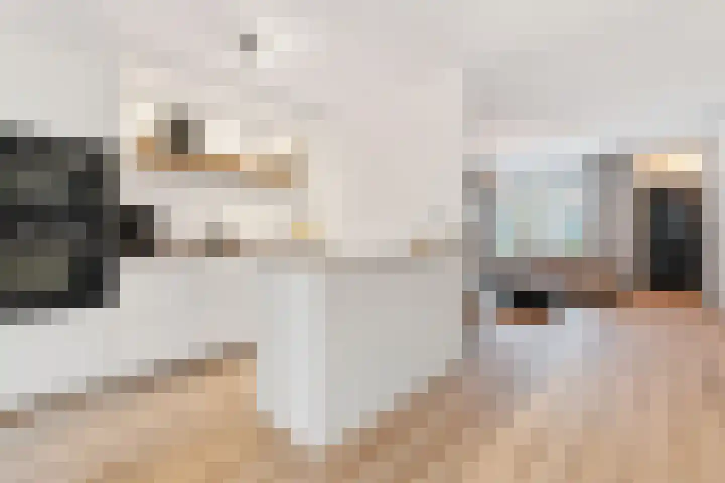 Dissel 34 Maarheeze thumbnail 26