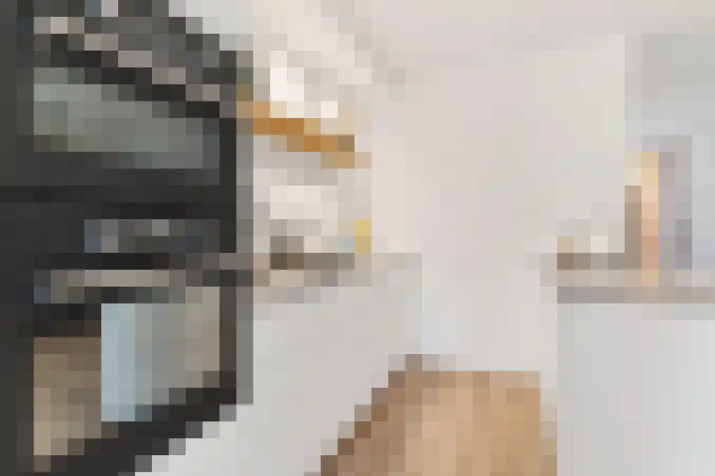 Dissel 34 Maarheeze thumbnail 27