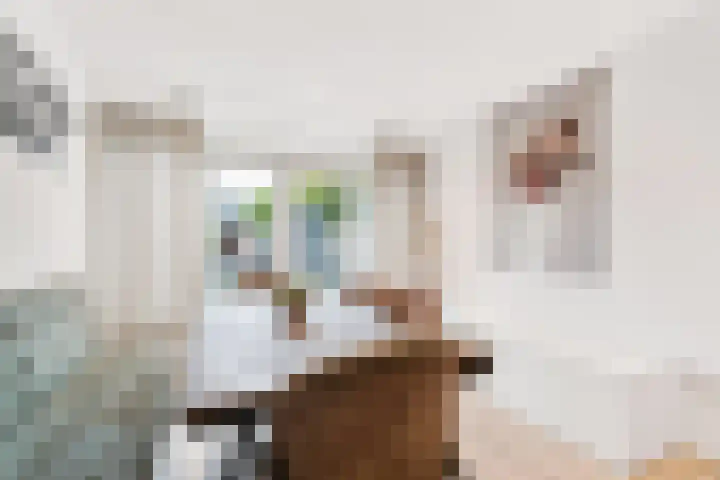 Dissel 34 Maarheeze thumbnail 5