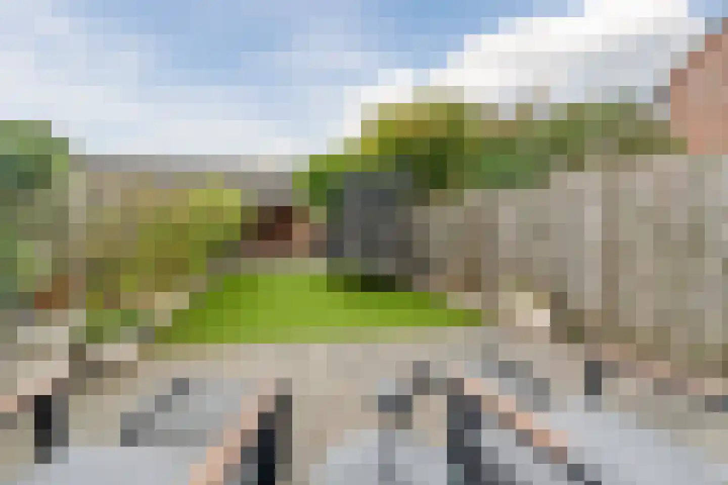 Dissel 34 Maarheeze thumbnail 51