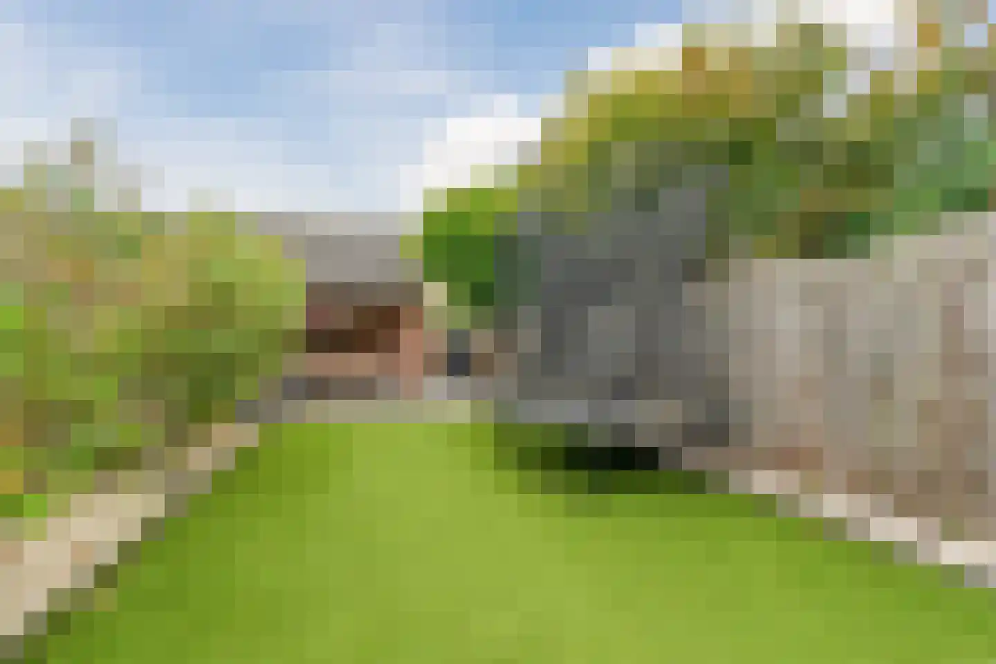 Dissel 34 Maarheeze thumbnail 52