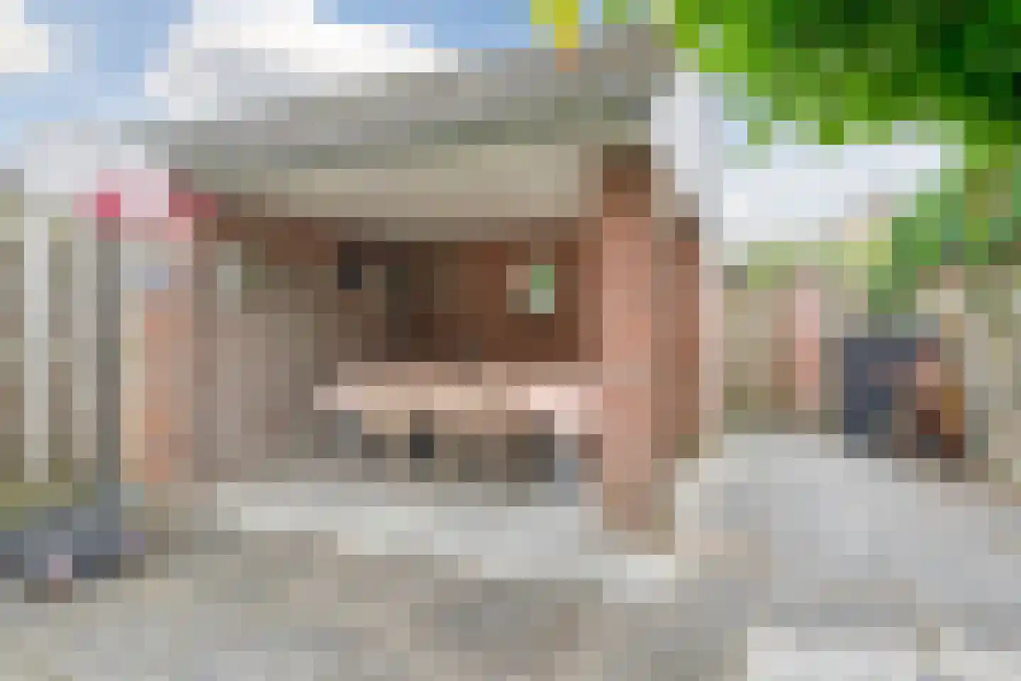 Dissel 34 Maarheeze thumbnail 54