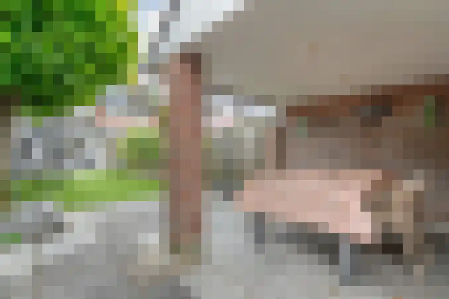 Dissel 34 Maarheeze thumbnail 55
