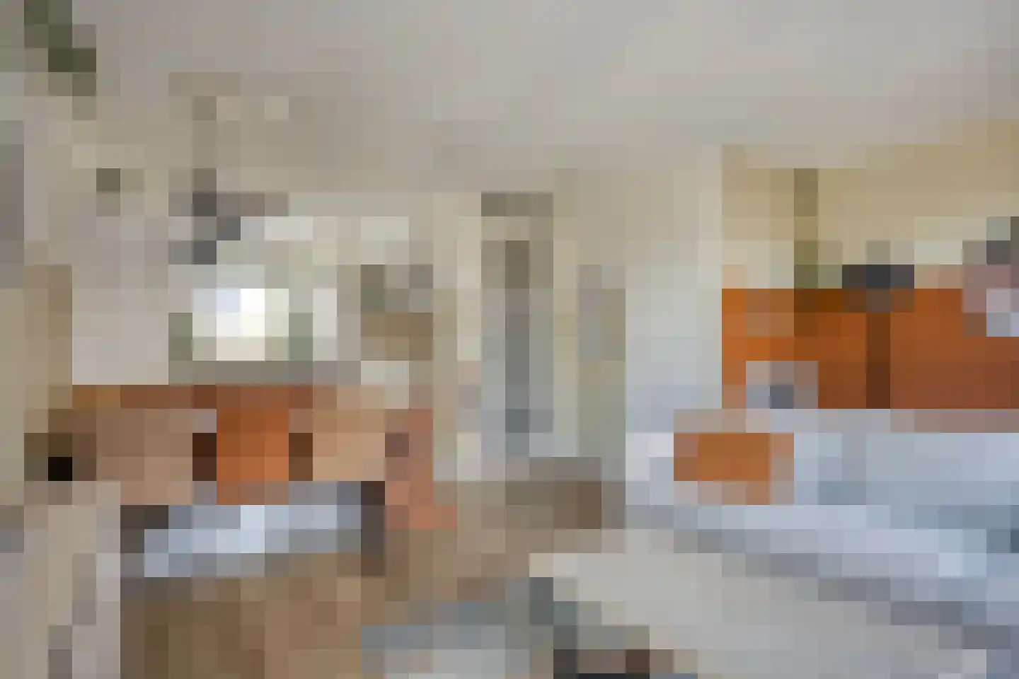 Dissel 39 Best thumbnail 10