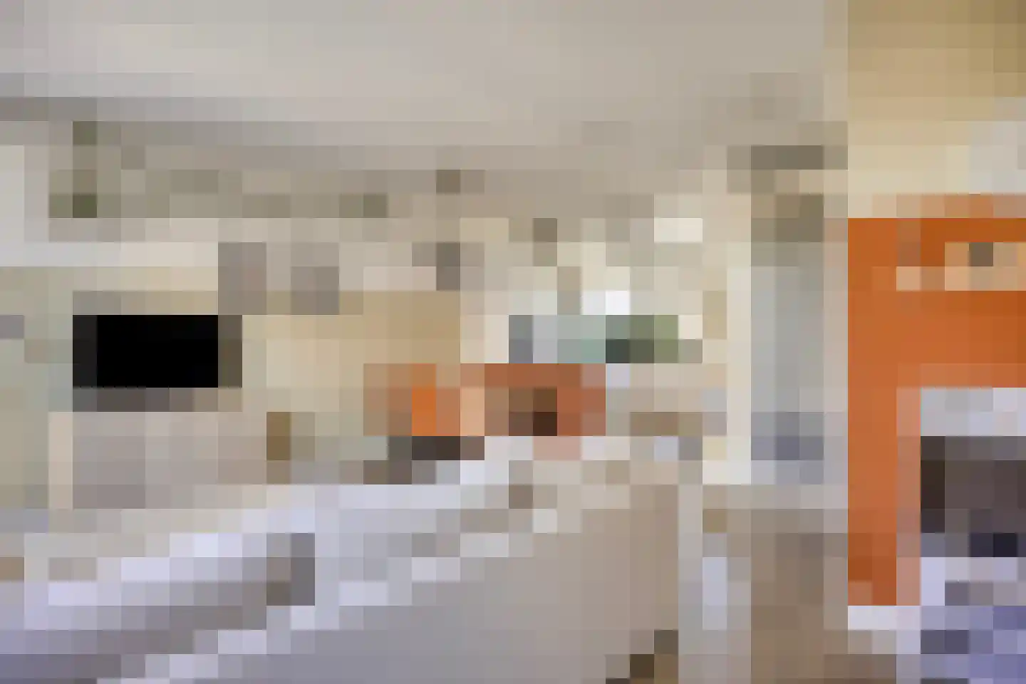 Dissel 39 Best thumbnail 12