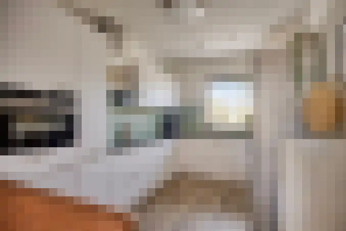 Dissel 39 Best foto 3