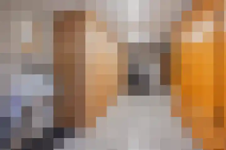 Dissel 4 America thumbnail 27